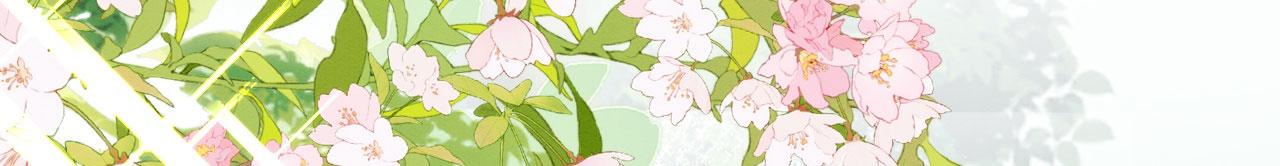 17 跳梁小丑24