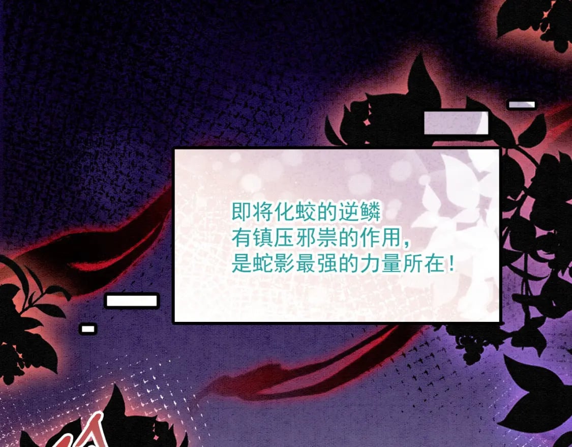 62 顺利反制88