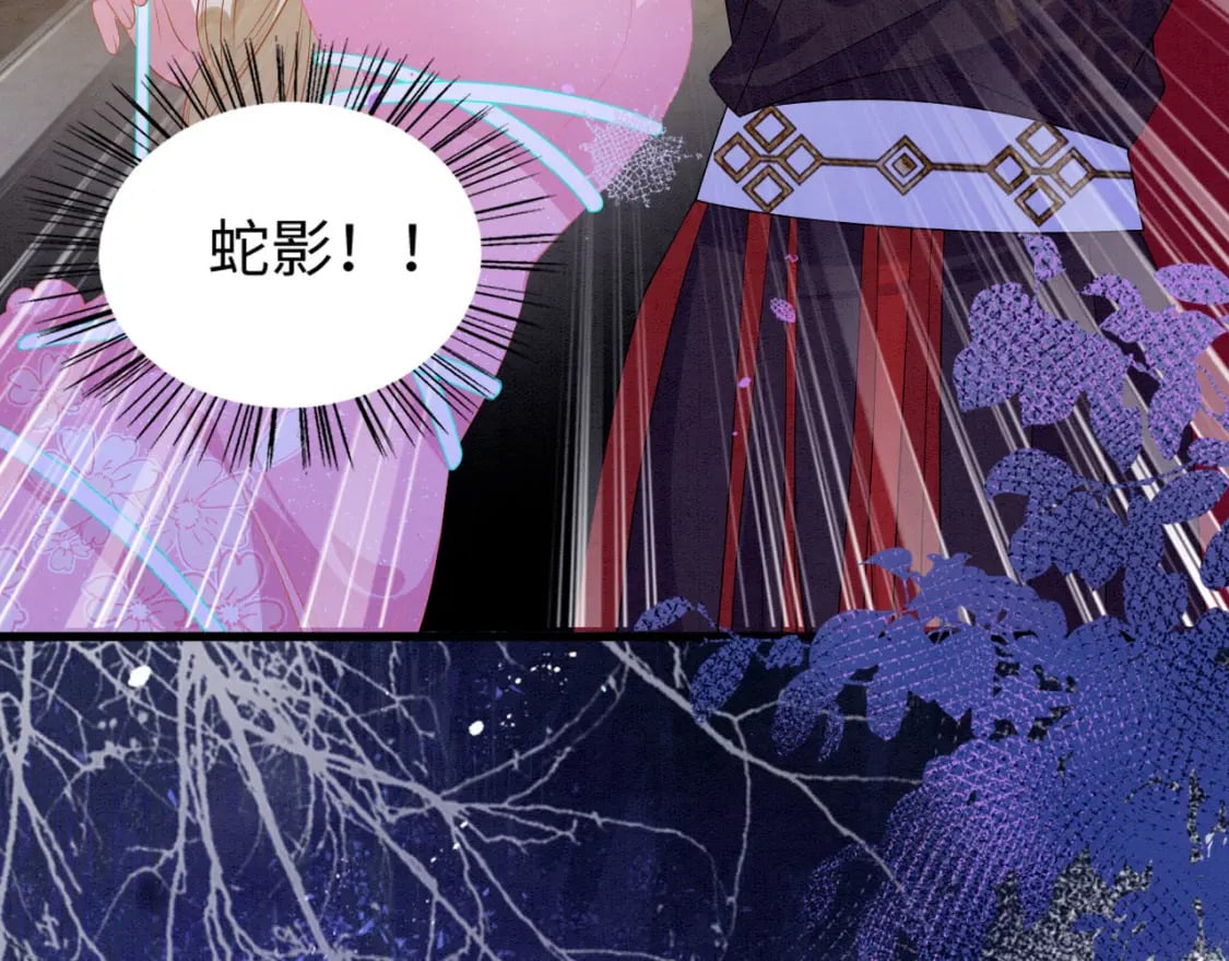74 雄性的较量37