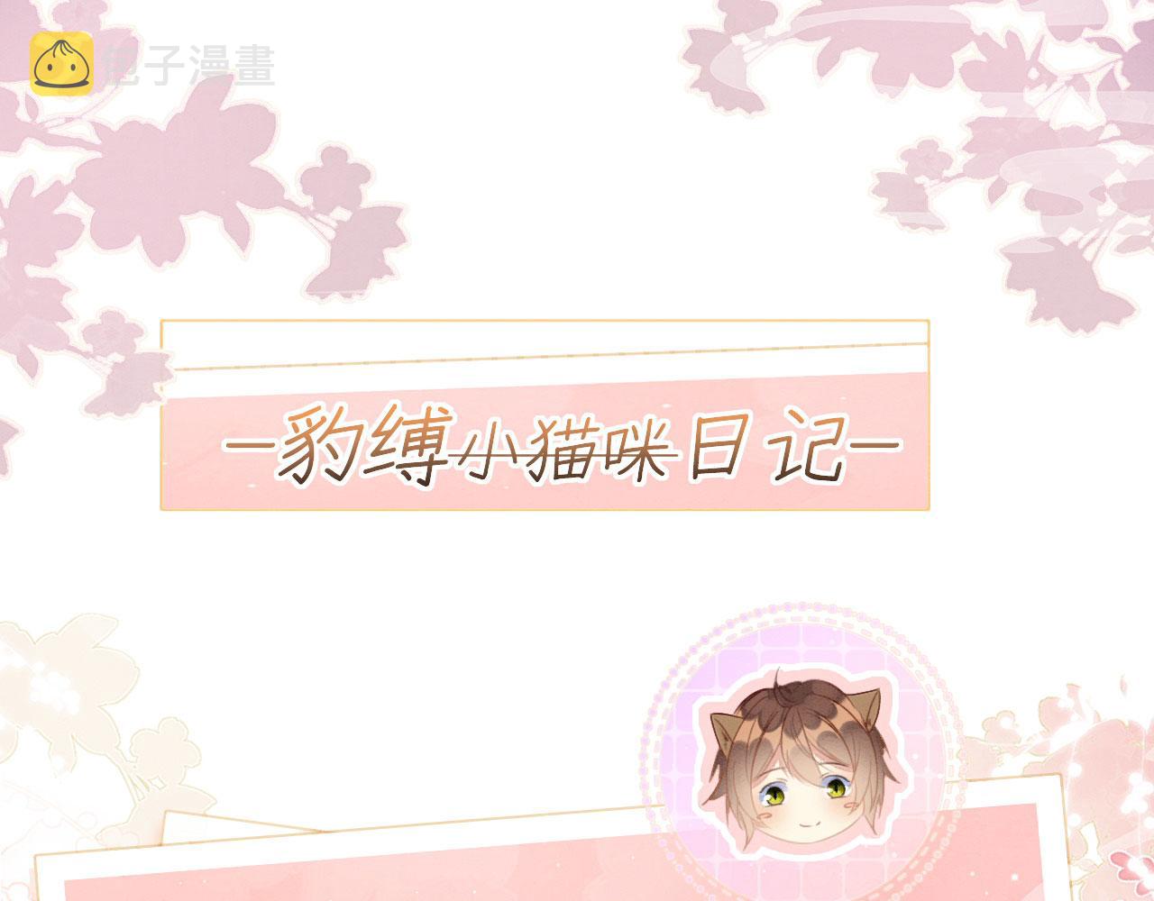 28 你才是猫！164