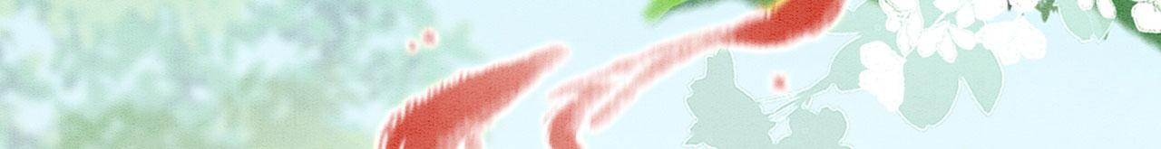 39 你来自哪里72