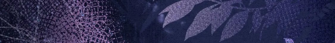 74 雄性的较量72
