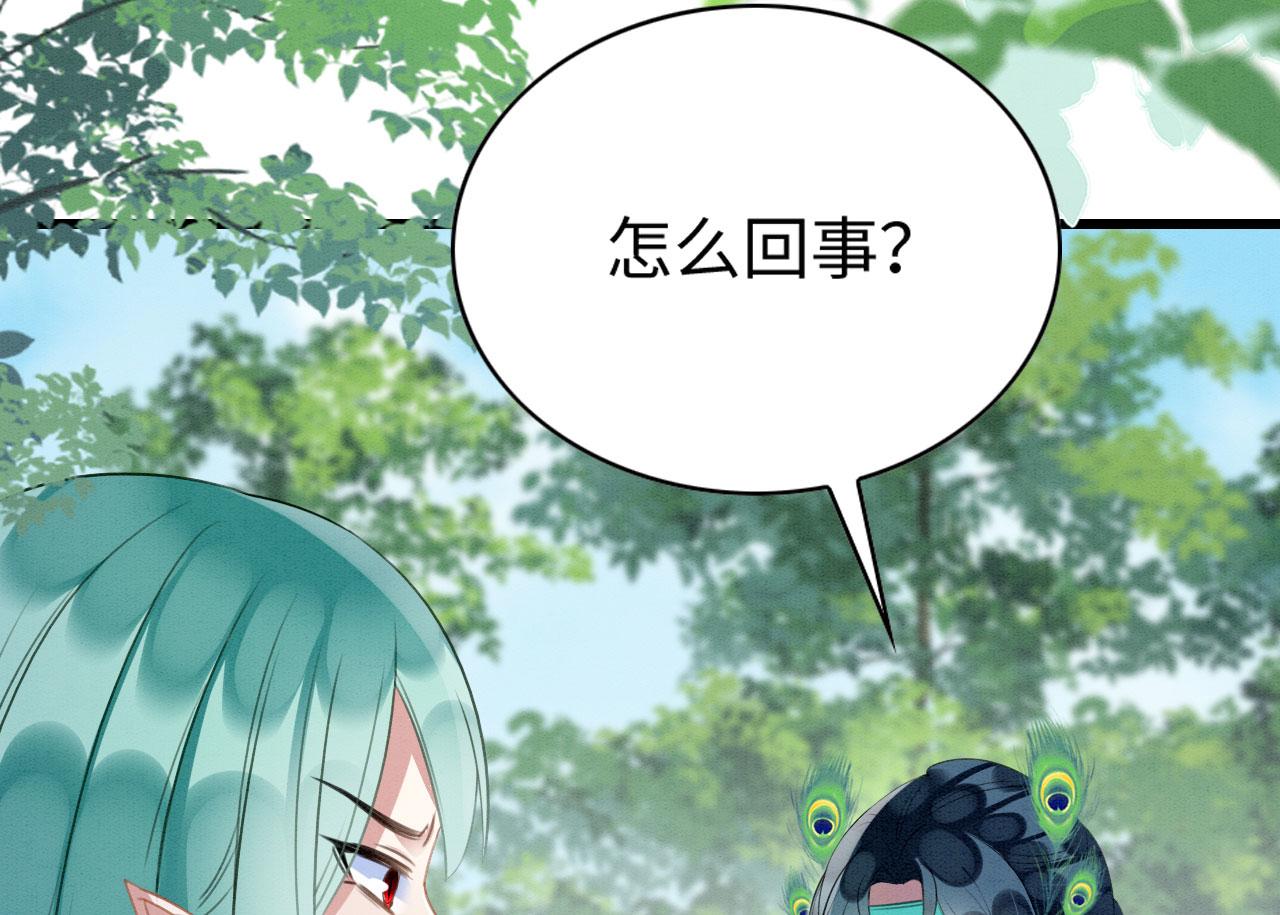 35 闷骚祭司51