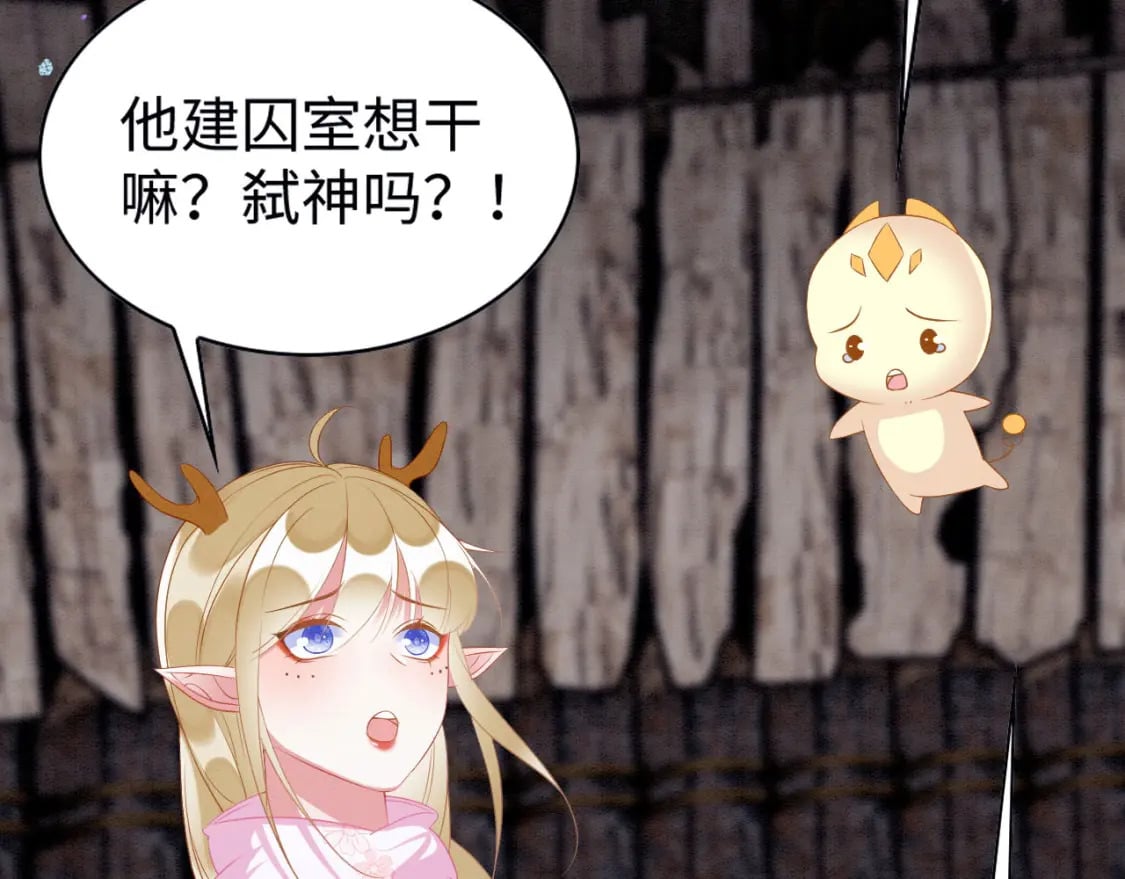 74 雄性的较量5