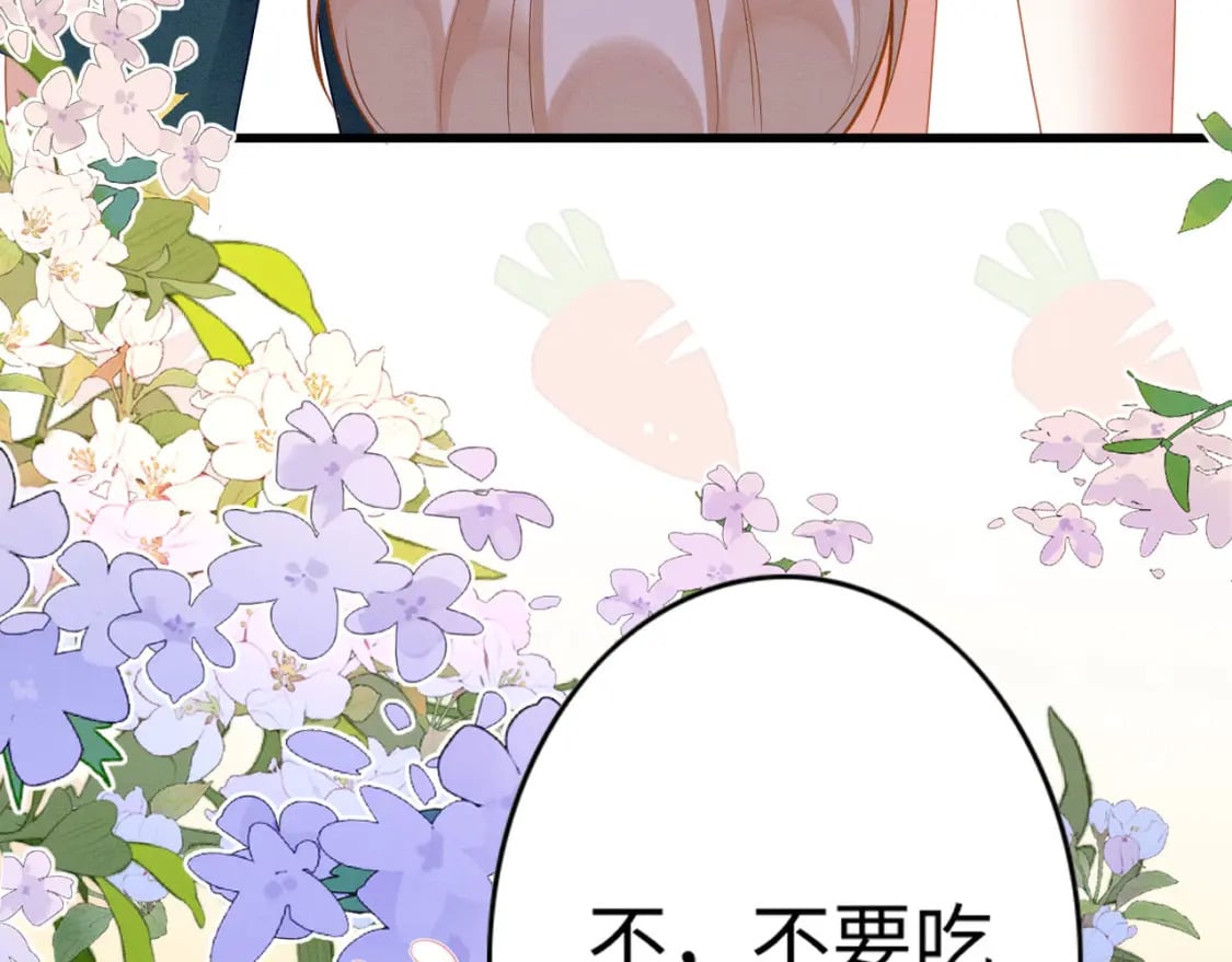 67 狗粮管饱101