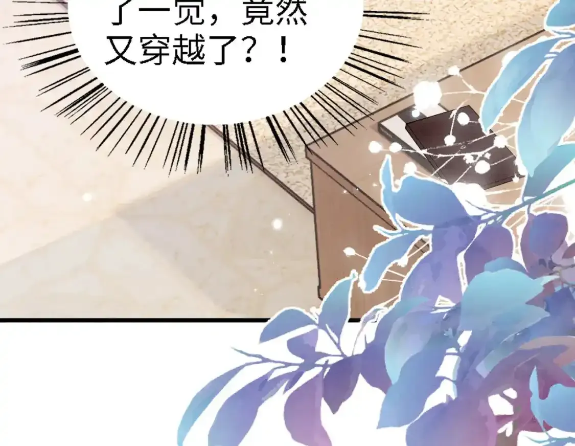 撒糖篇 现代婚礼129