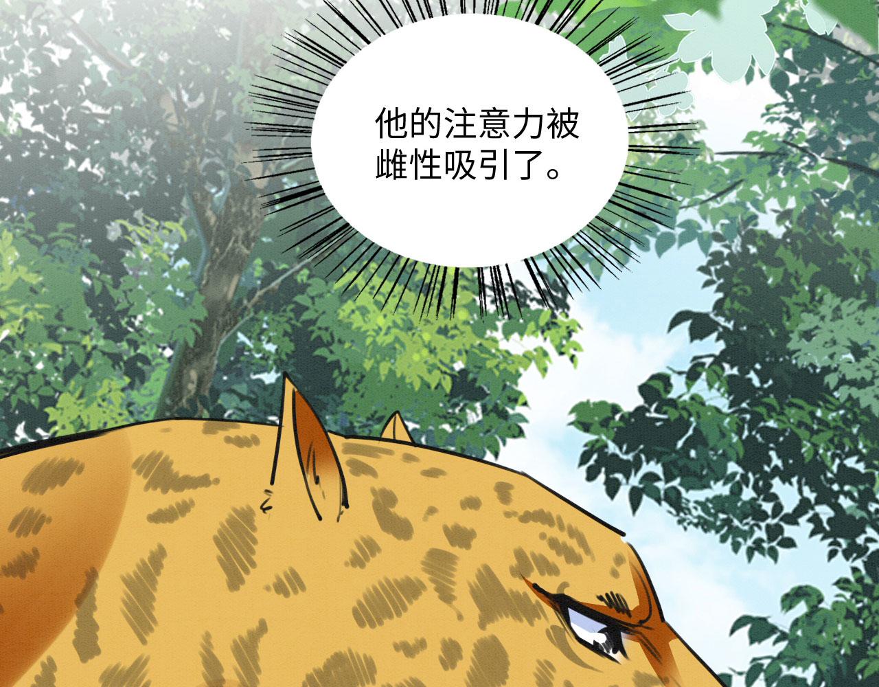 28 你才是猫！29