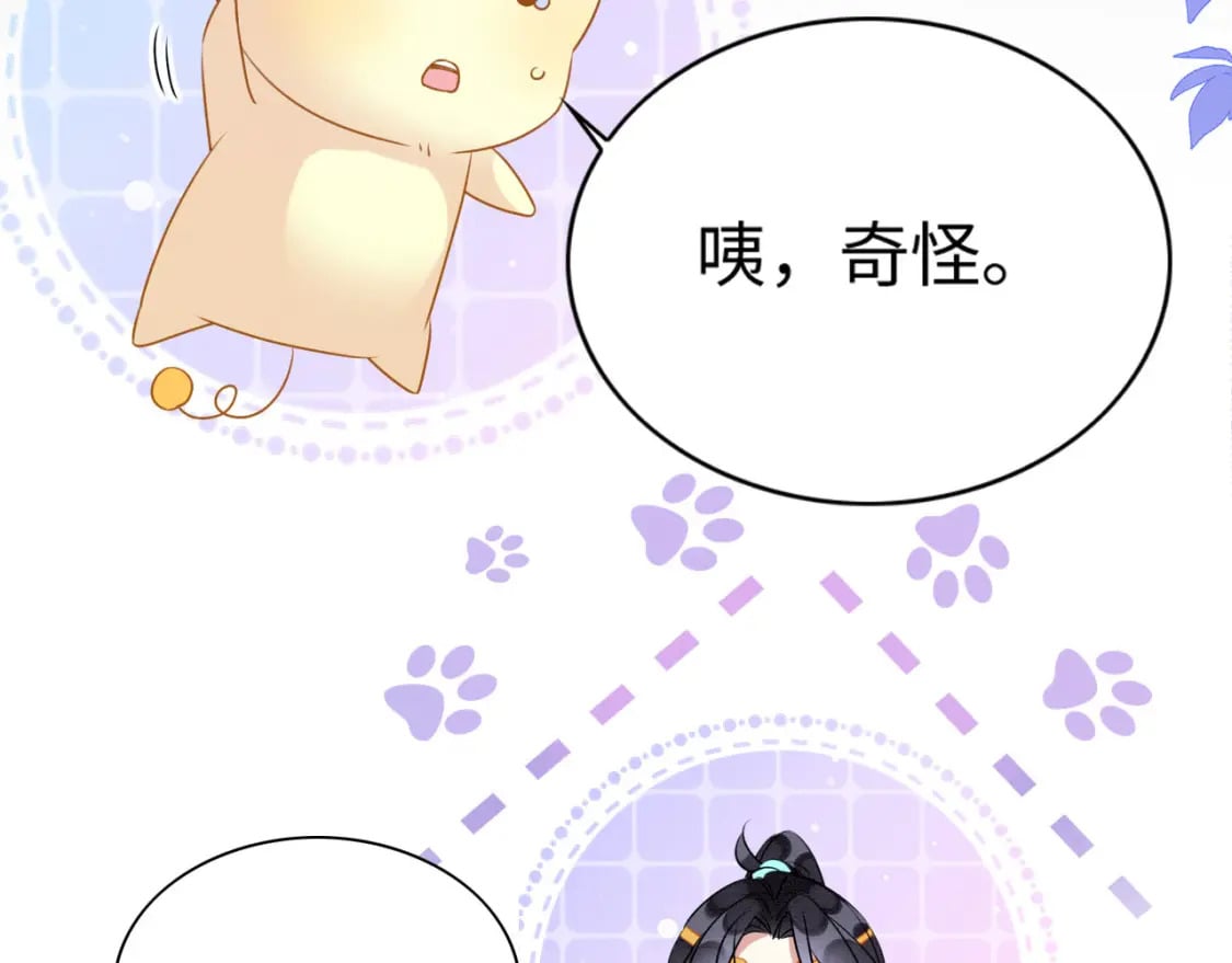 63 厄蝉小心机46