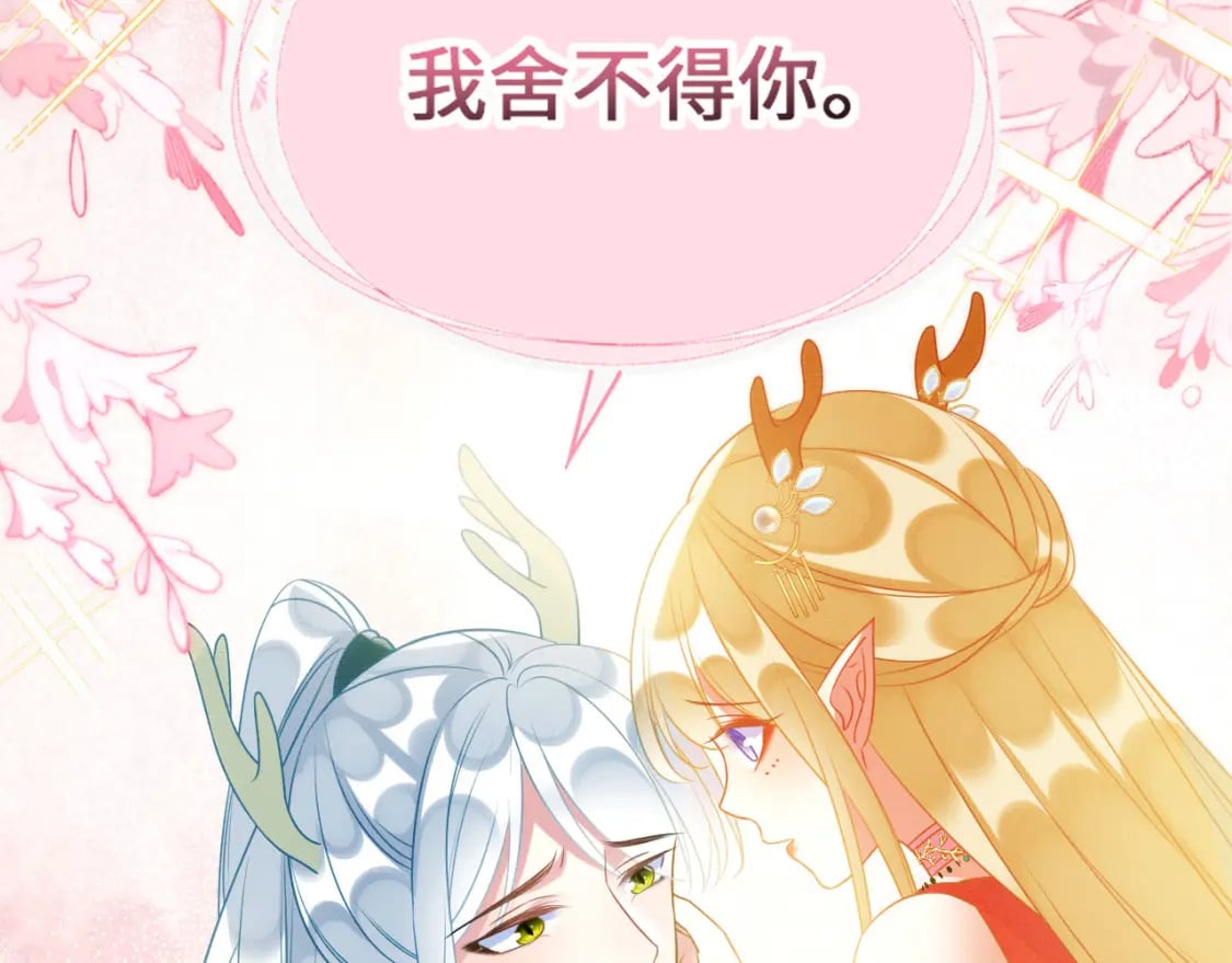85 舍不得你121