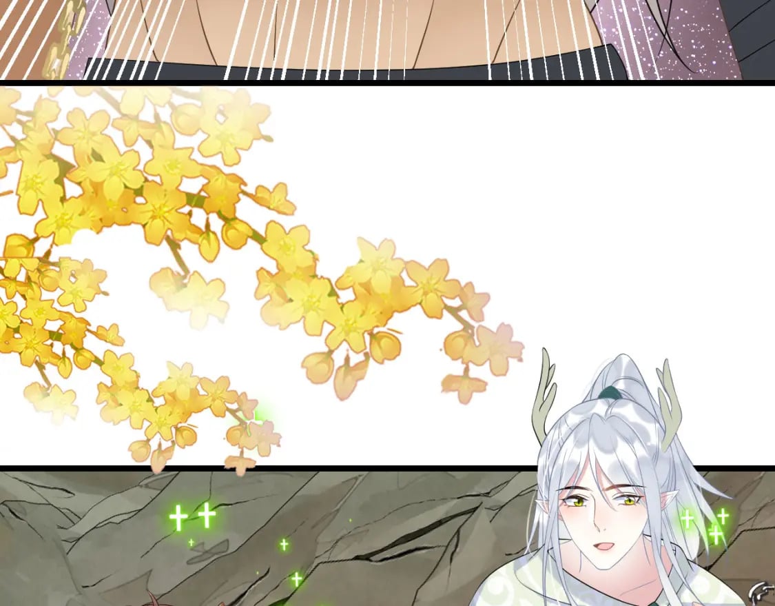58 训狗115
