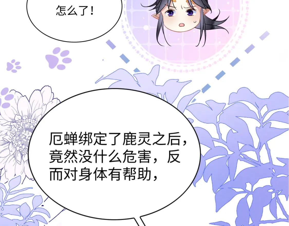 63 厄蝉小心机47