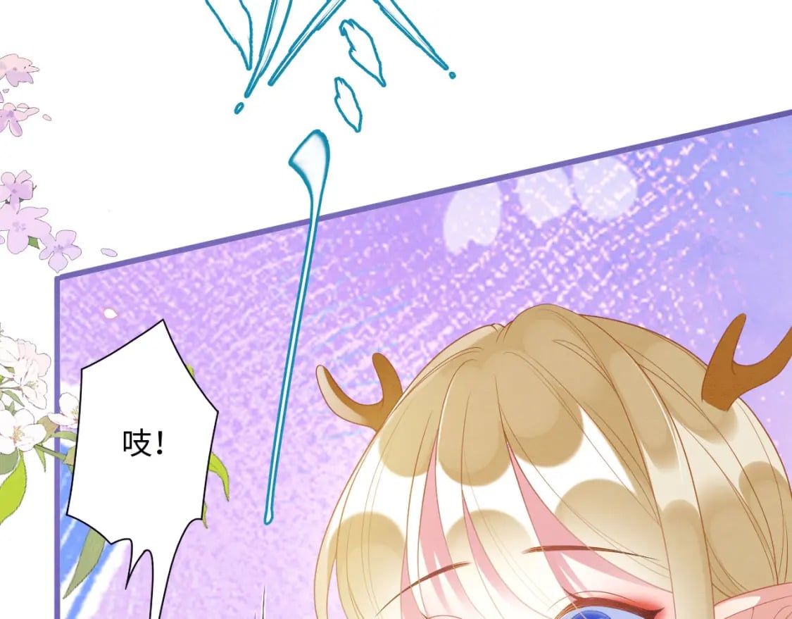 67 狗粮管饱85