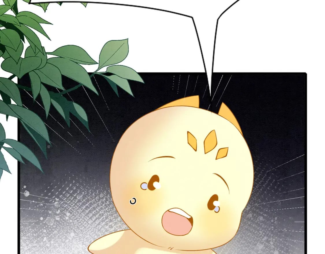 94 伴生花86