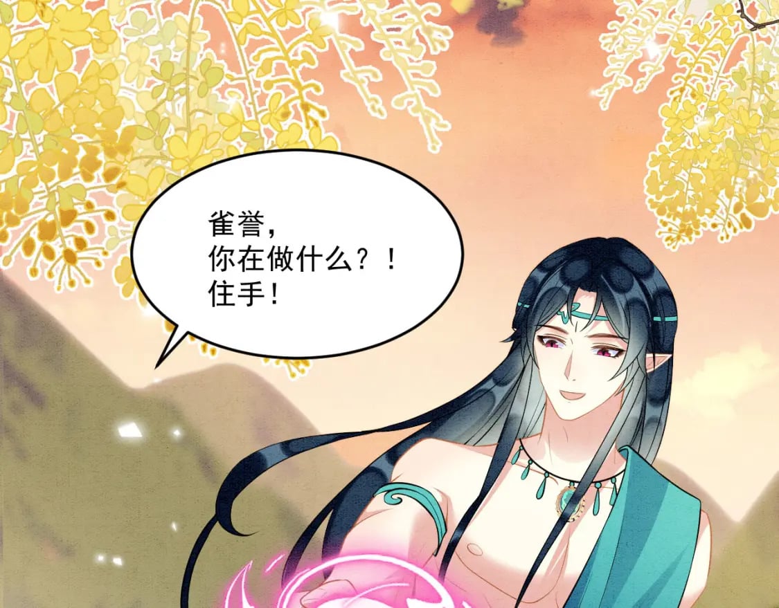 65 献宠手段51