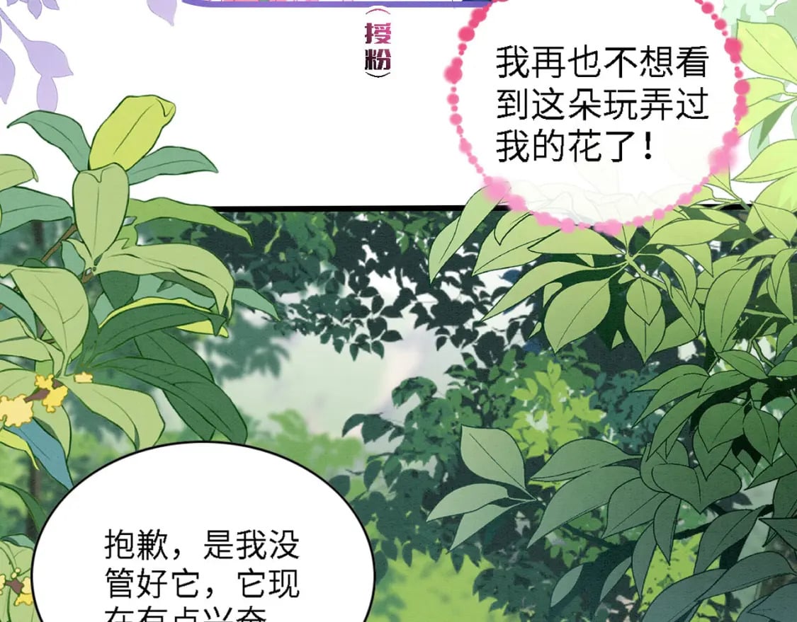 96 你愿意吗35