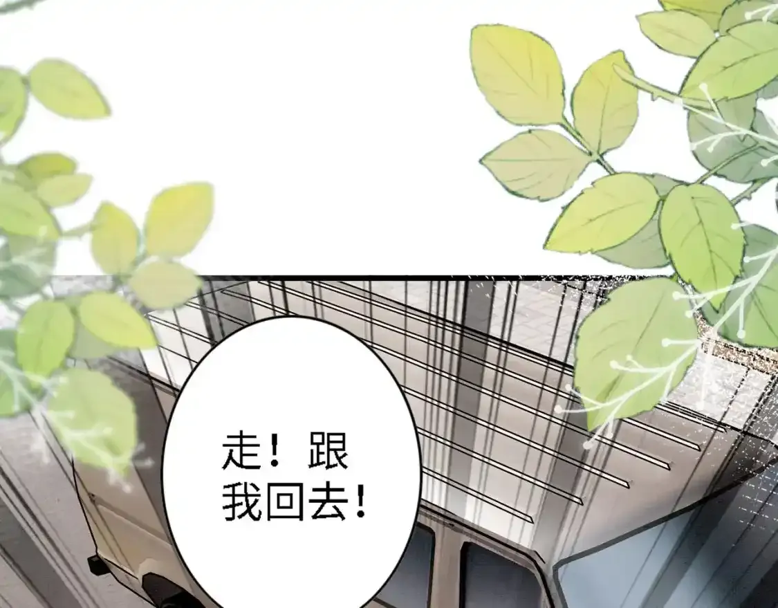 撒糖篇 现代婚礼10