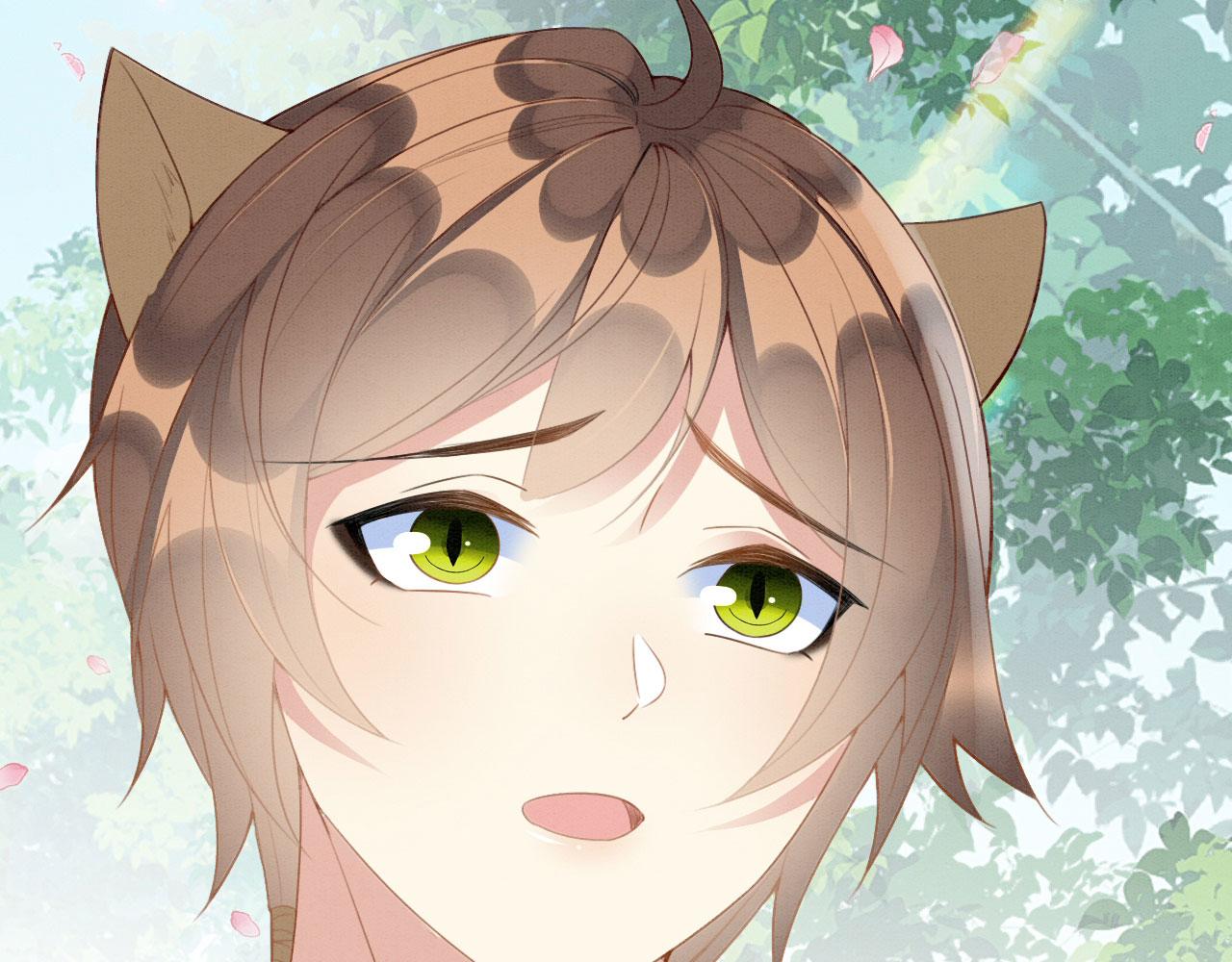 28 你才是猫！145