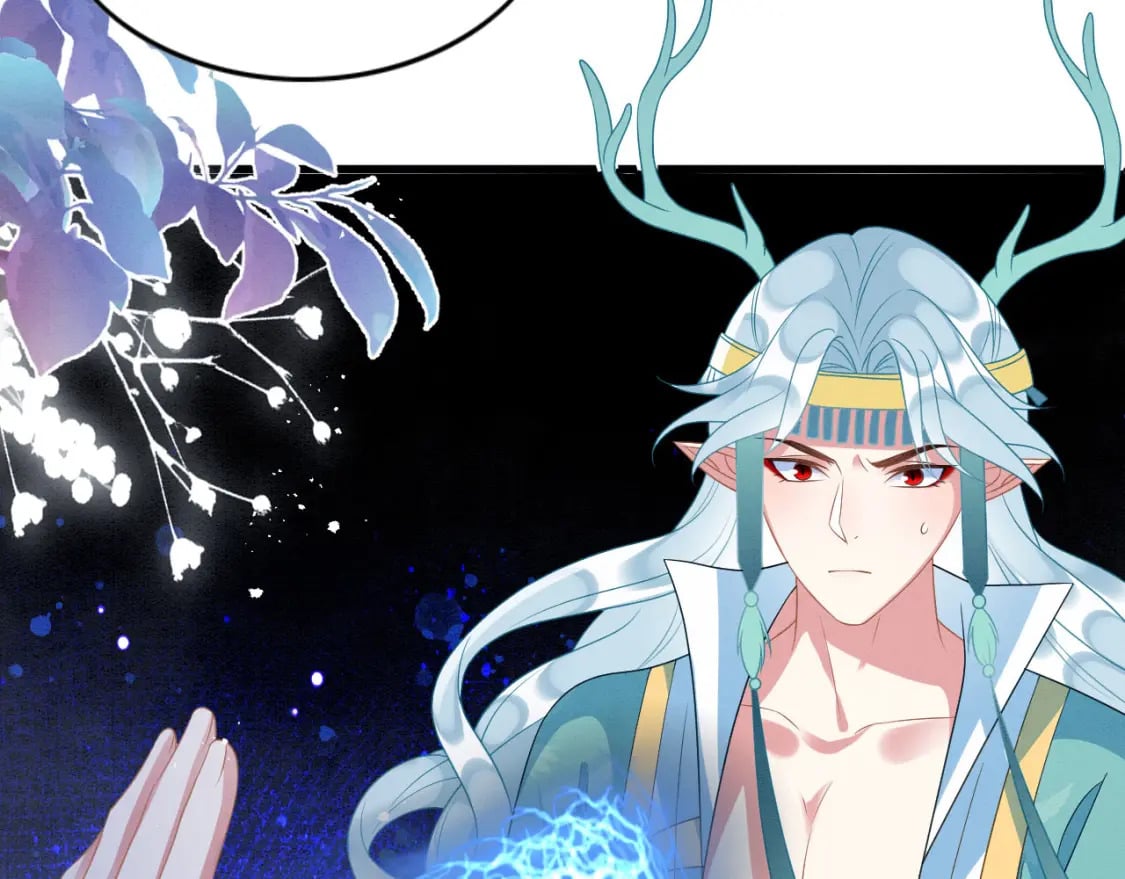 81 兽神61