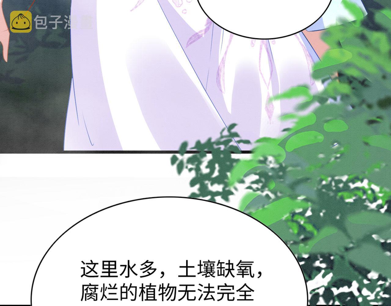 45 盐湖沼泽47