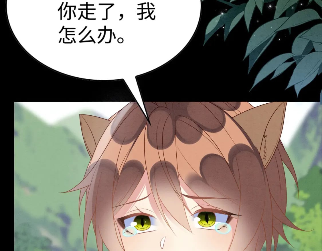 85 舍不得你14