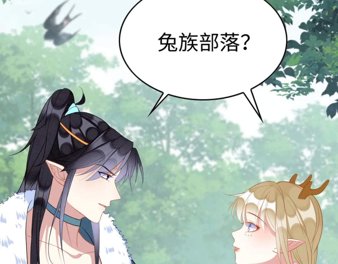 67 狗粮管饱98