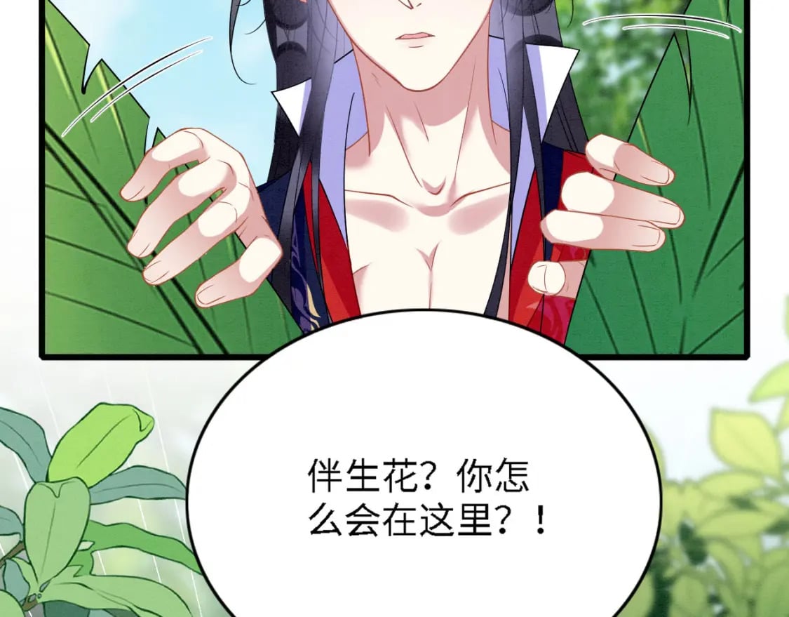 94 伴生花68