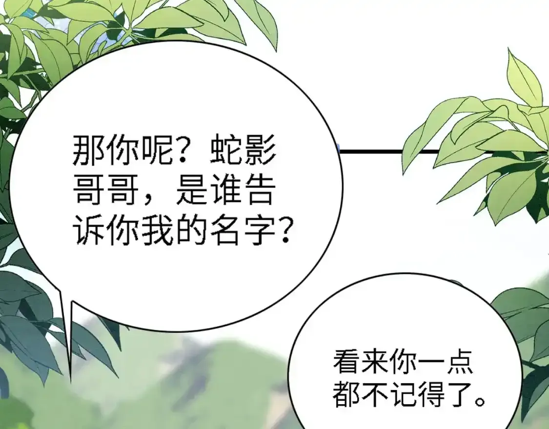 撒糖篇 现代婚礼46