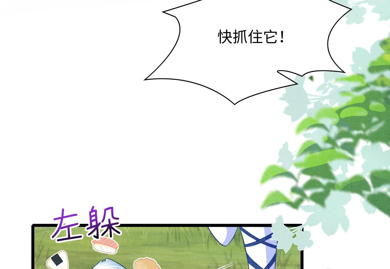 48 新CP诞生51