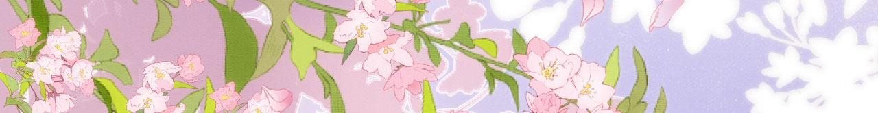 28 你才是猫！18