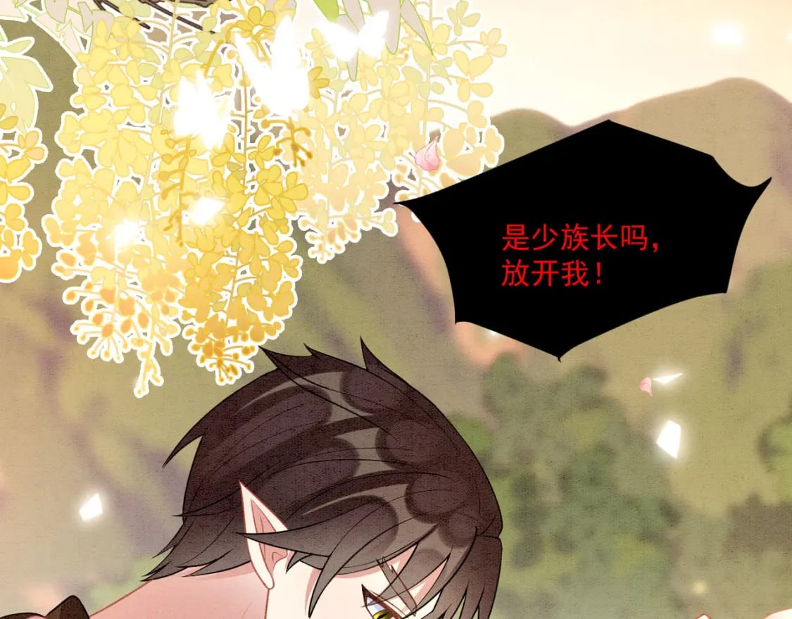 65 献宠手段109