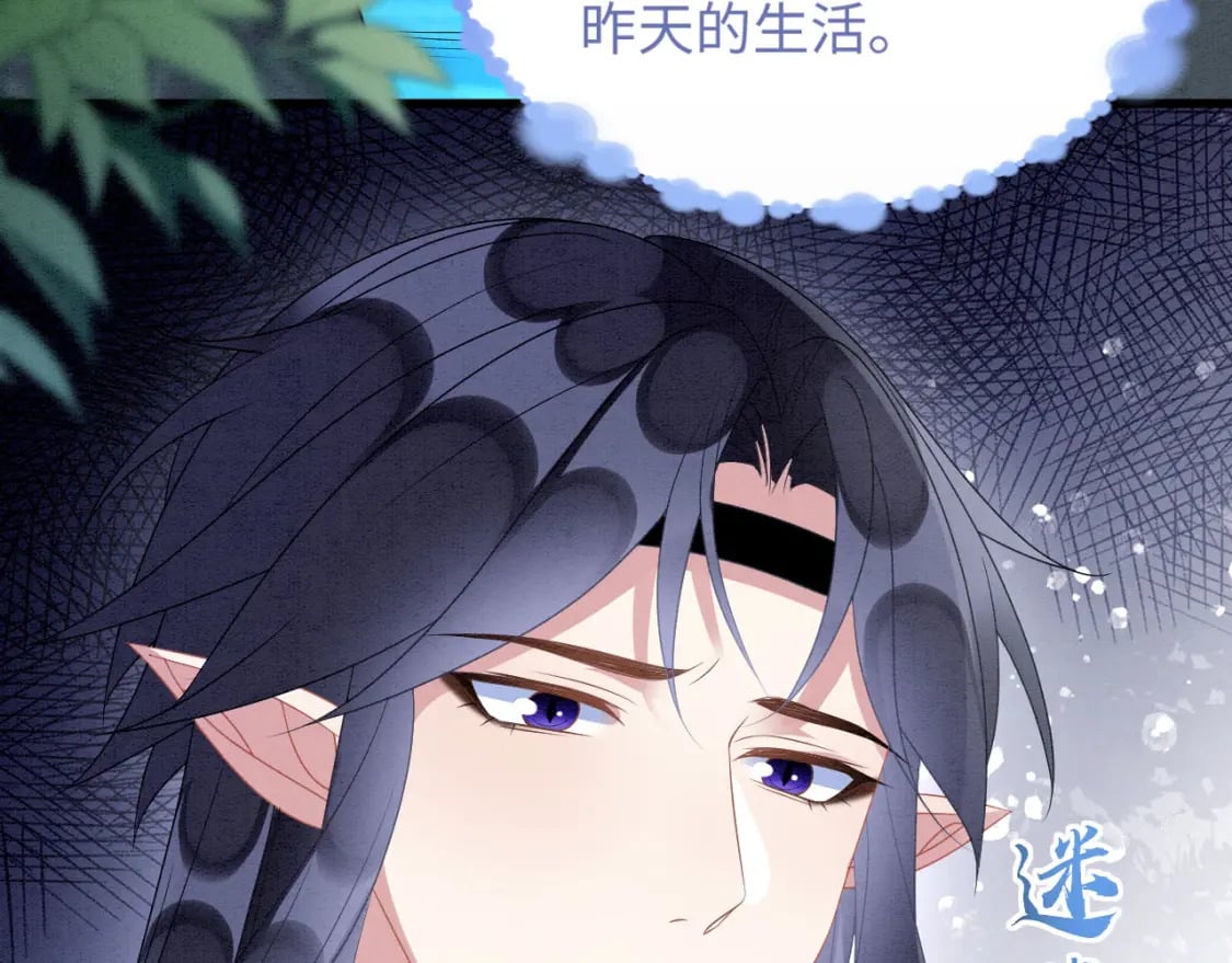 85 舍不得你50