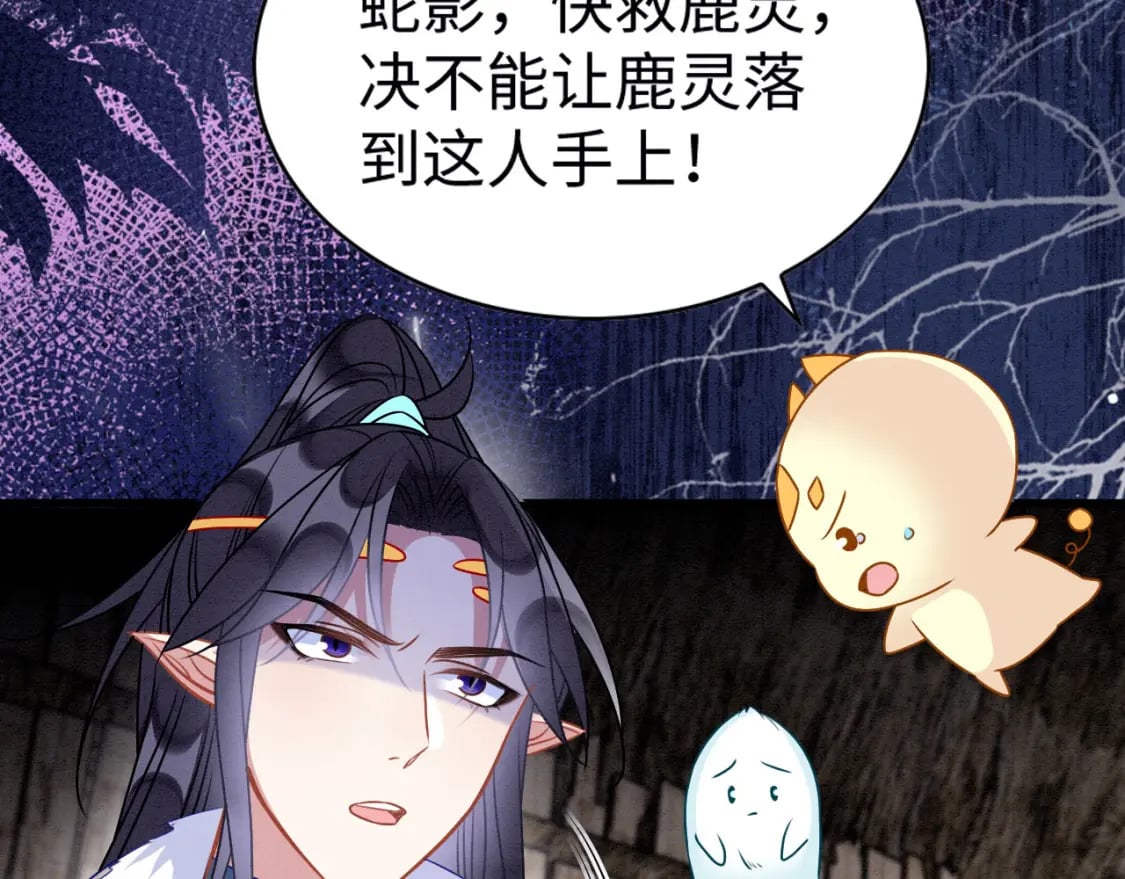 74 雄性的较量82