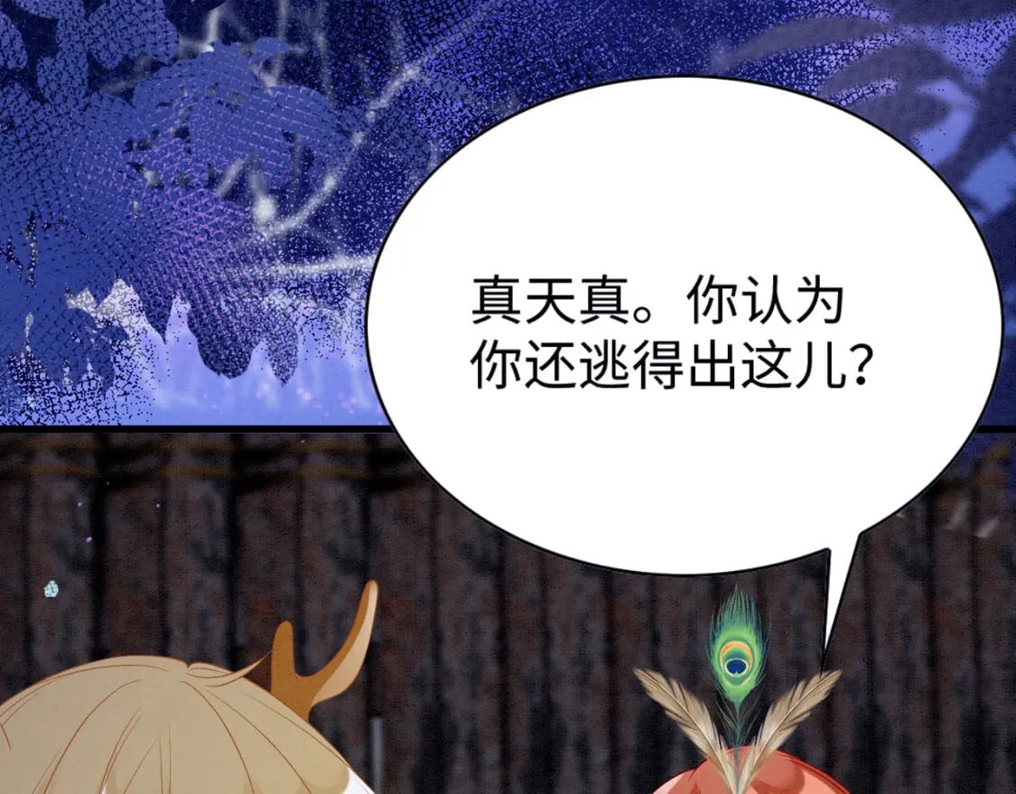 74 雄性的较量17