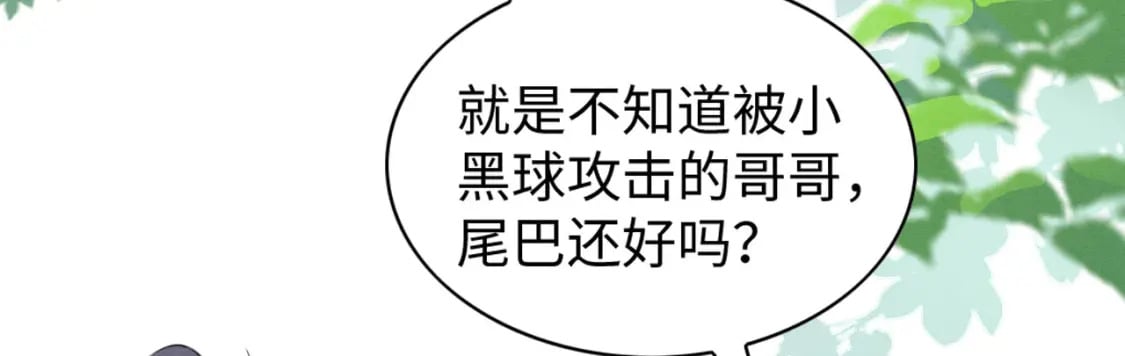 55 美女贴贴102