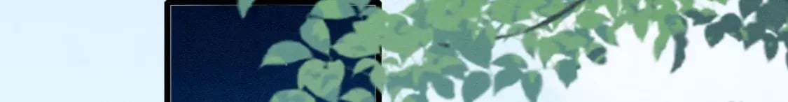 71 甜蜜惩罚45