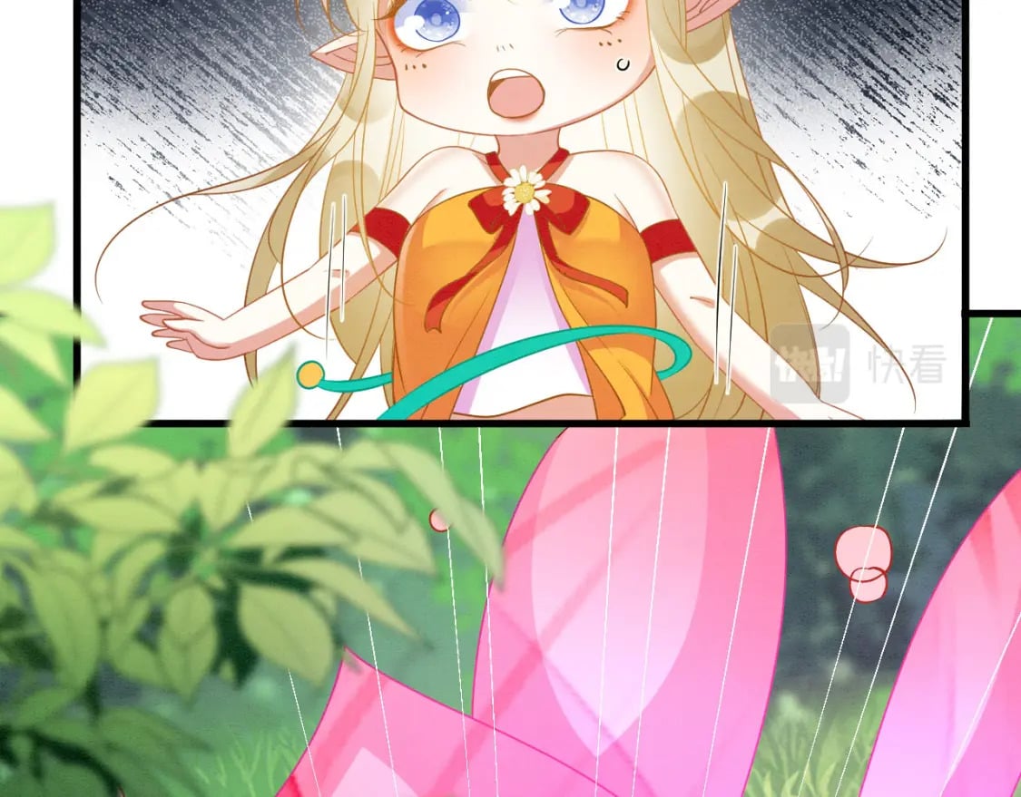 94 伴生花89