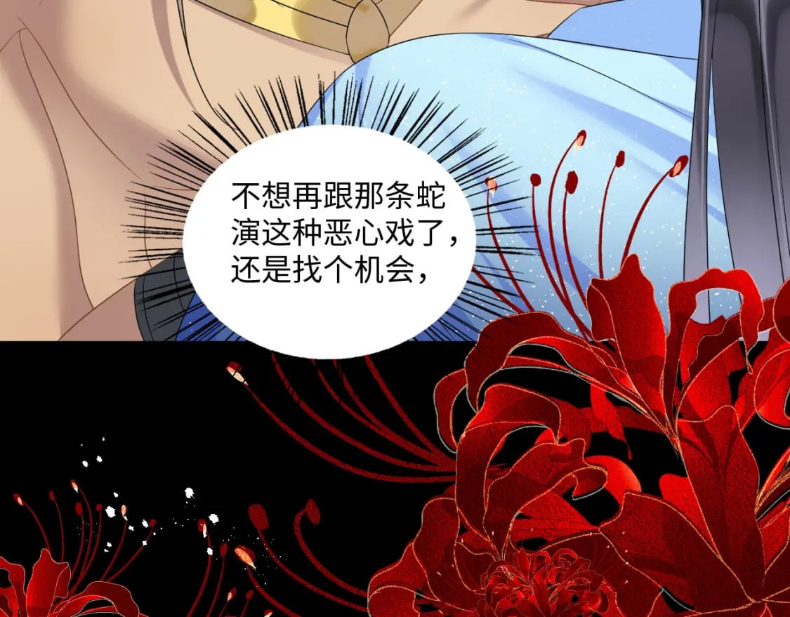 63 厄蝉小心机98