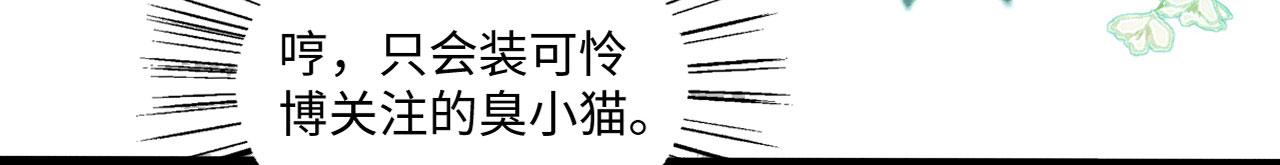 18 打跑了羊，又来只狮87