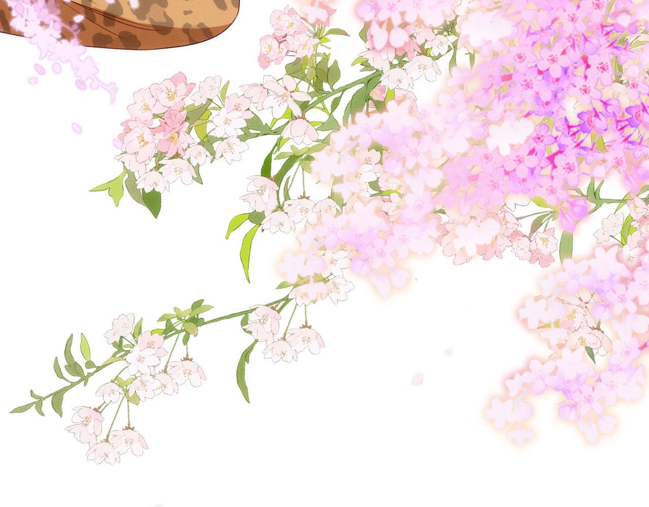 43 兽神神迹14
