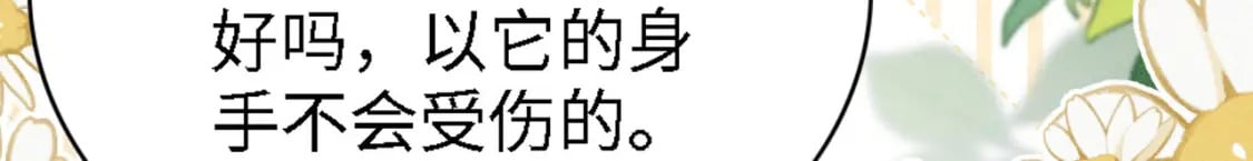 91 我可以保护你81