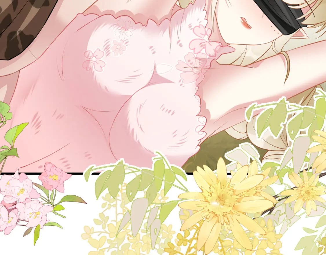 65 献宠手段120
