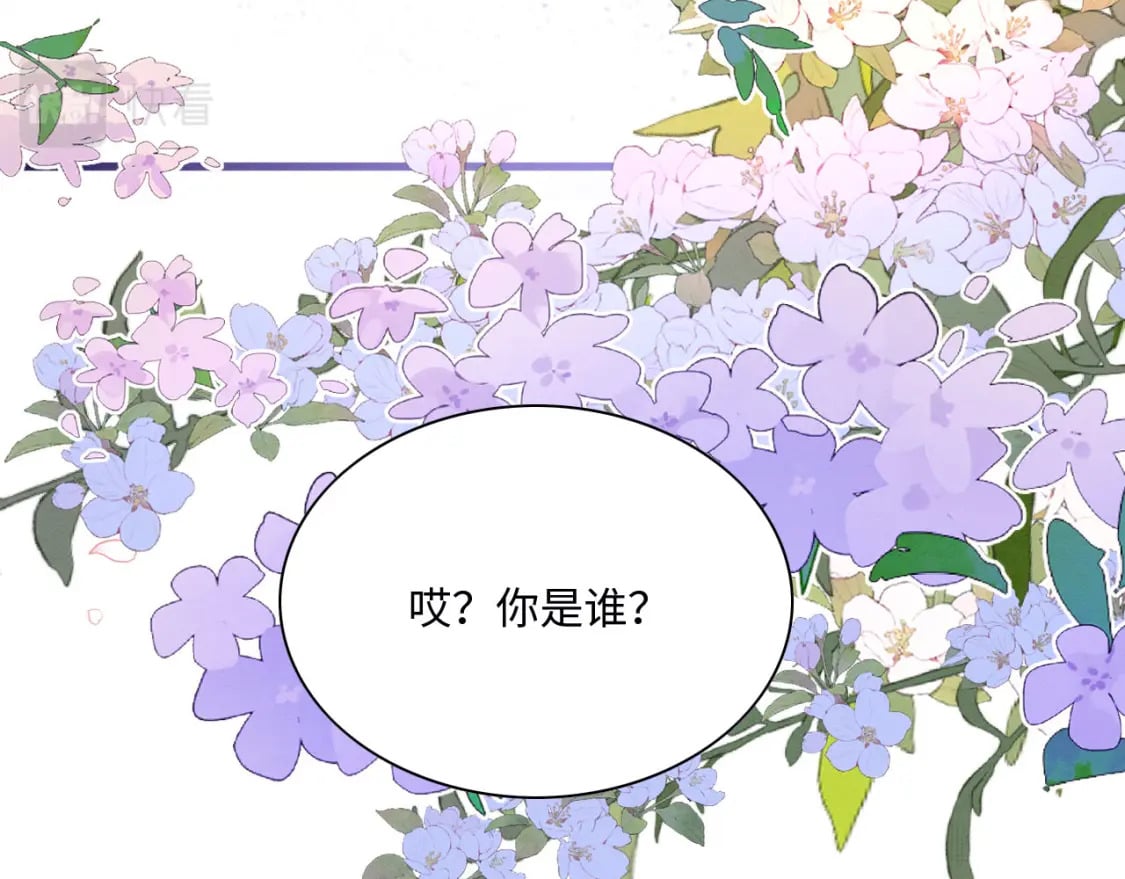 67 狗粮管饱92