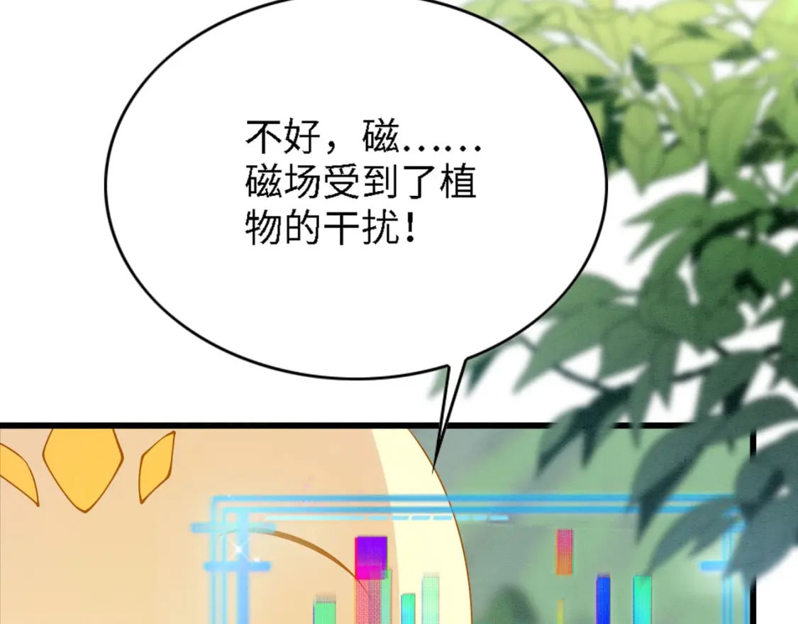 94 伴生花79