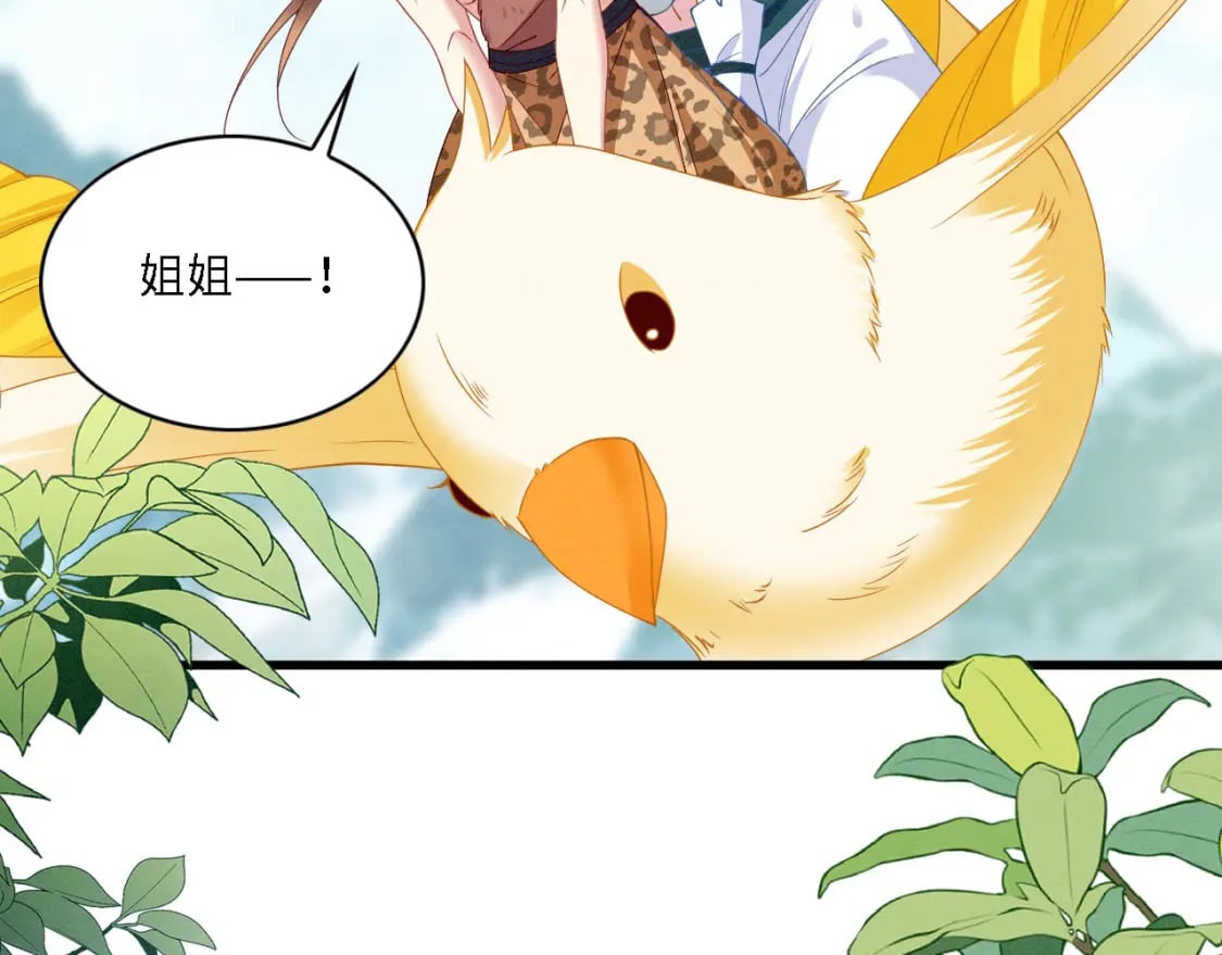 100 再触逆鳞80