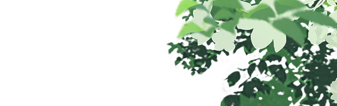 12 鹿灵被挟持162