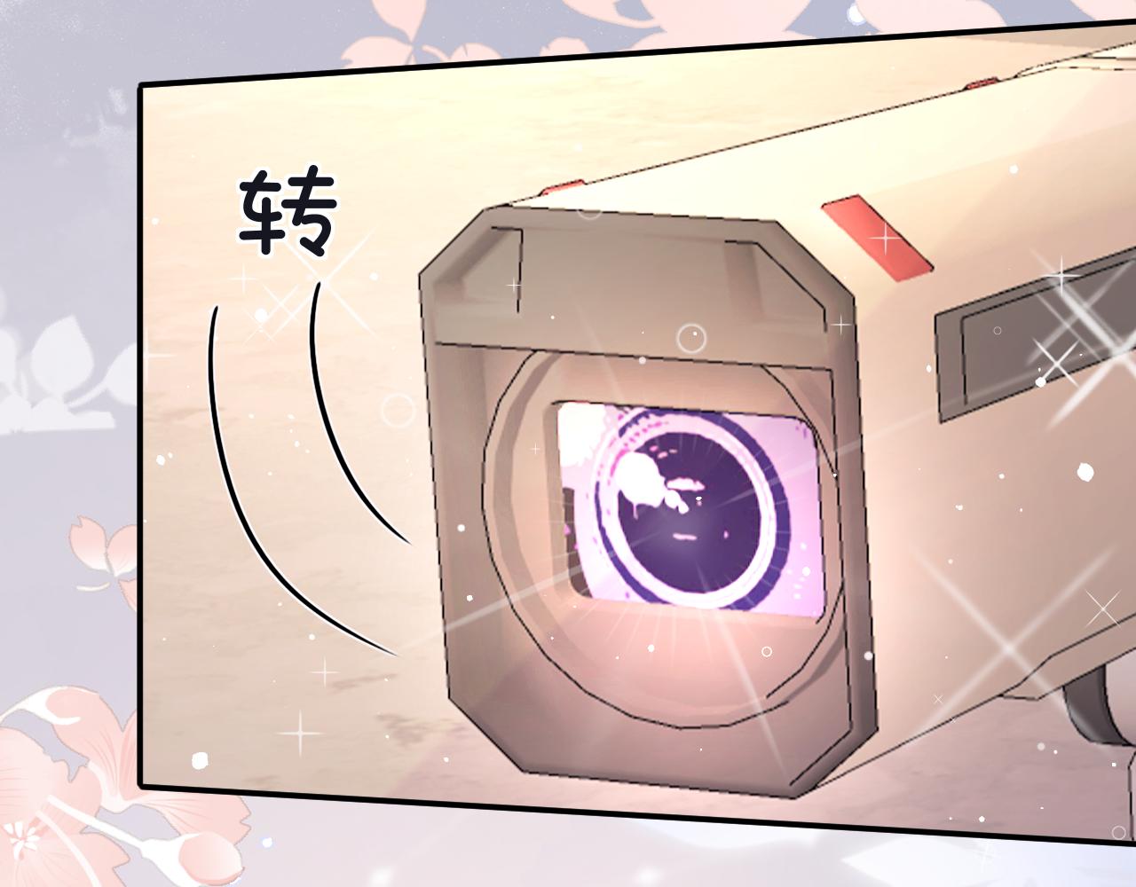31 综艺84