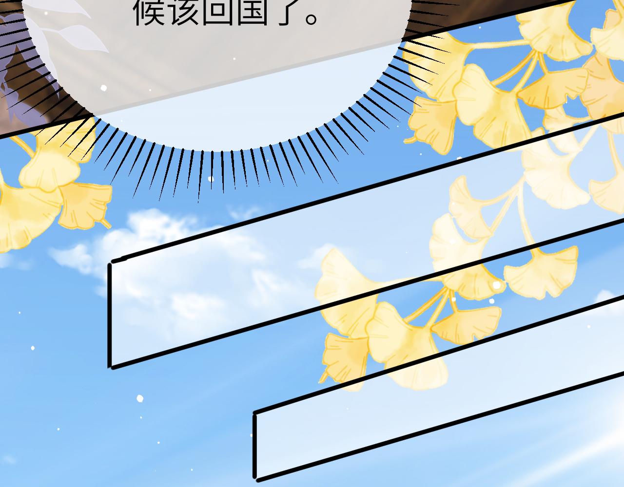 31 综艺23