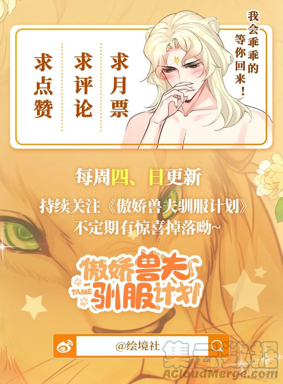 50 芭比比布？36