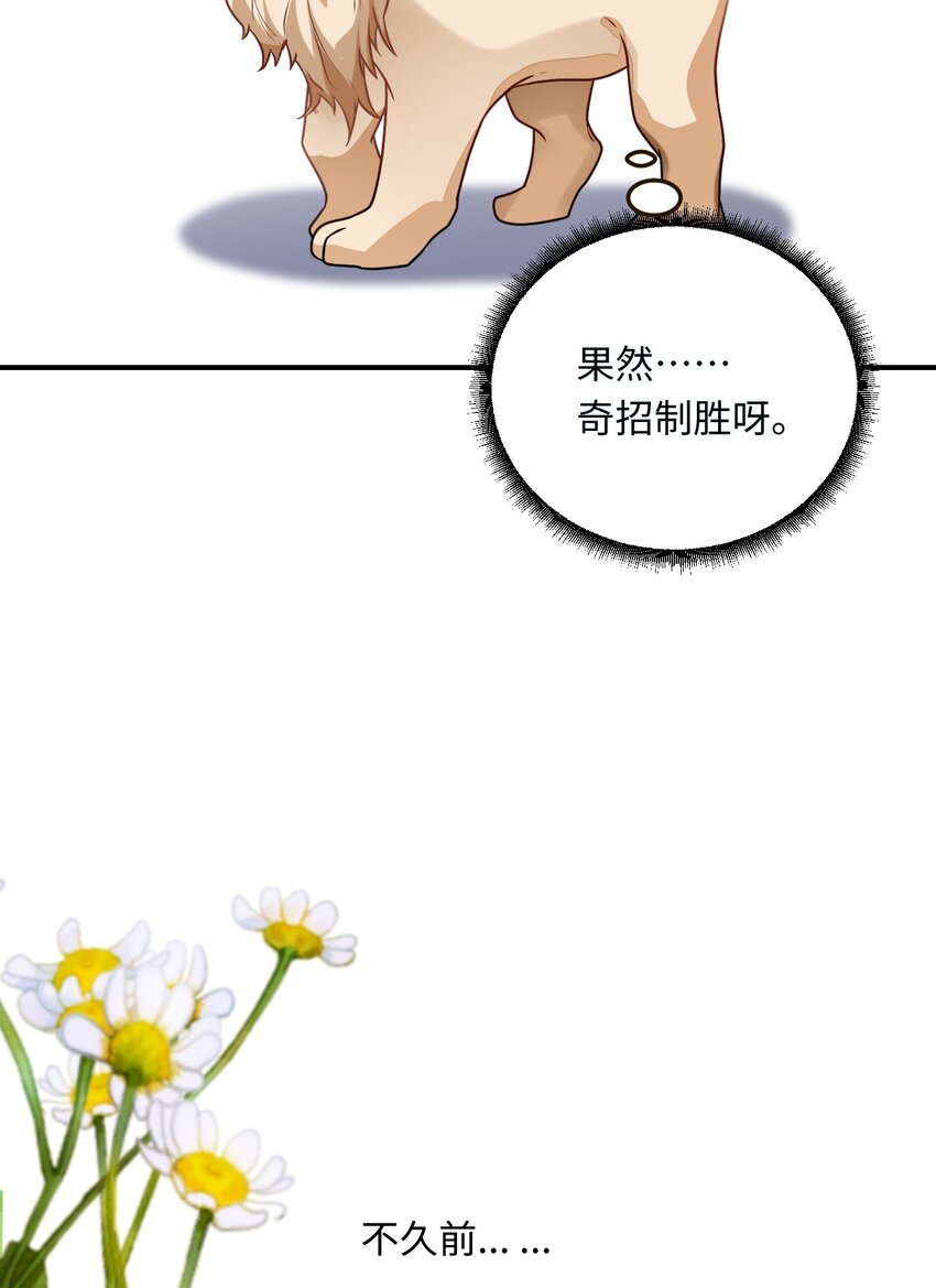 15 可以让我主动吗？7
