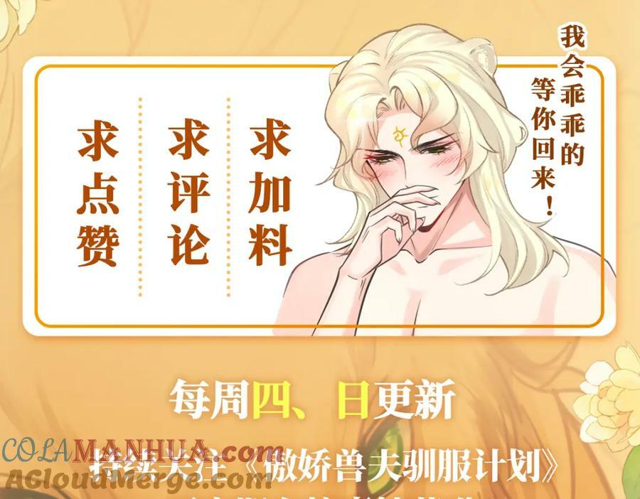 55 跟他走87